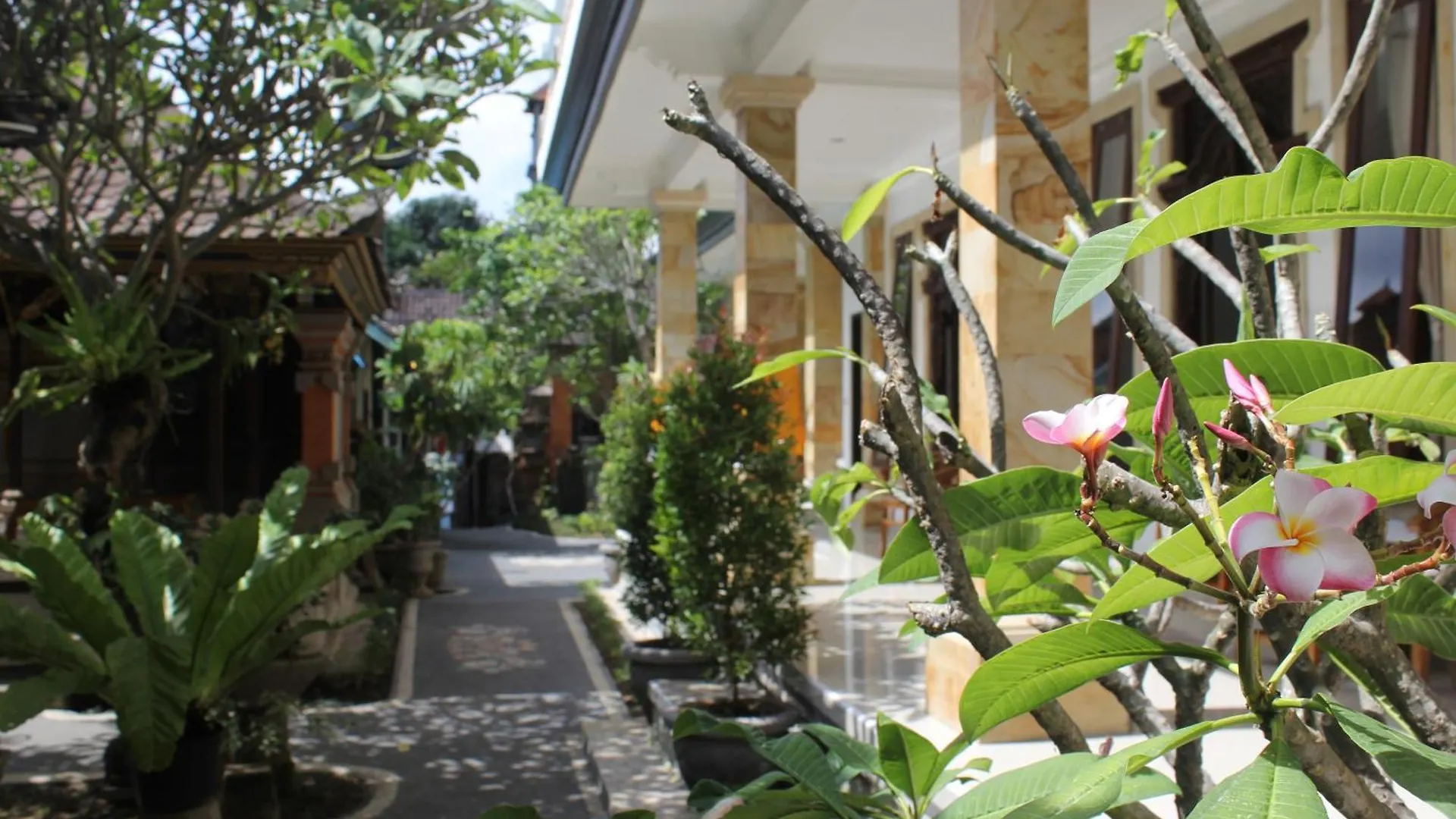 Umah Dauh Homestay Ubud Indonésia